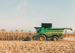 Tractor plowing corn