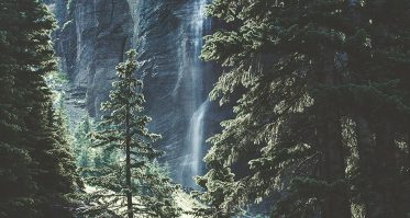 Waterfall behind a forest of trees